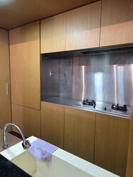 Nineteen Shelford Road (D11), Condominium #585551451